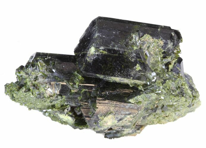 Lustrous Epidote Crystal Cluster - Pakistan #41569